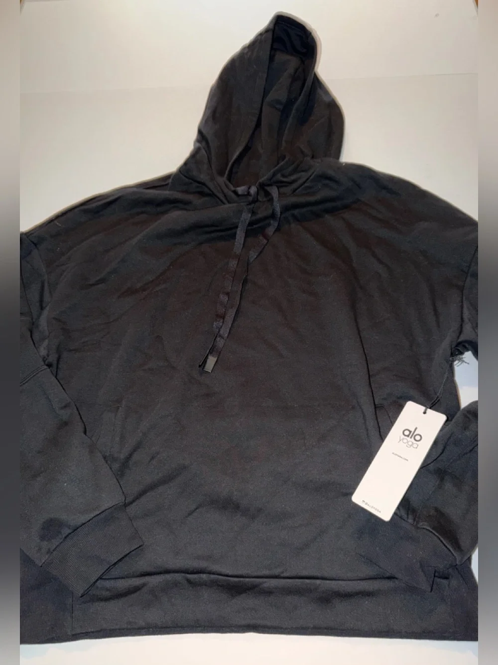 Alo yoga interval hoodie